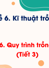 CN Trồng trọt - Bài 16. Quy trình trồng trọt (Tiết 3)